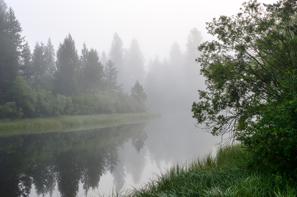 Oregon Fog