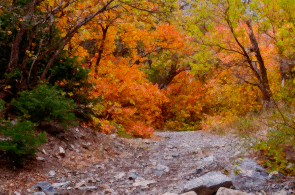 Fall Trails D.J.